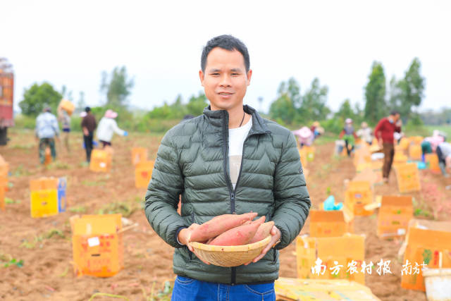 何浩在田间。  南方农村报 吴秒衡 拍摄