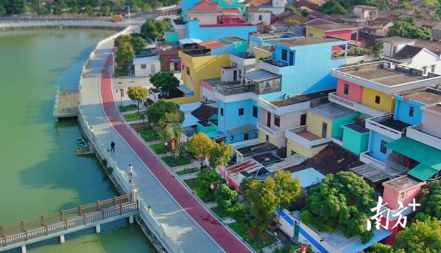 东莞市横沥镇山厦村——彩虹村里的小菜园