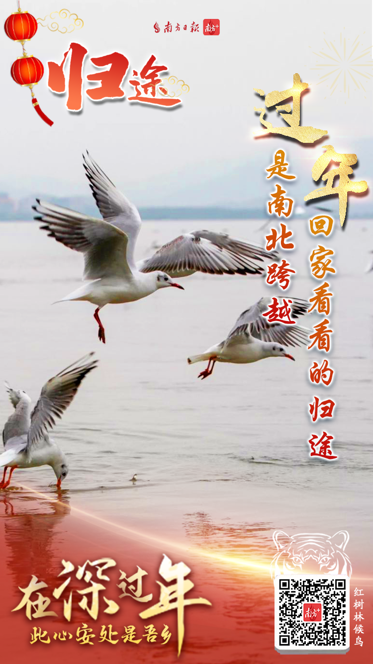 螢幕截圖 2022-01-27 00.52.02.png