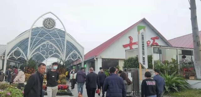 調(diào)研組調(diào)研順德陳村花市,。