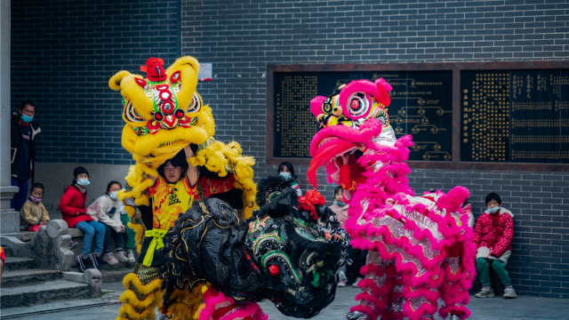 【年味】击鼓贺岁，祥狮献瑞