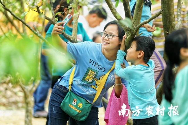 2021化橘红云赏花活动吸引游客赏花“打卡”。