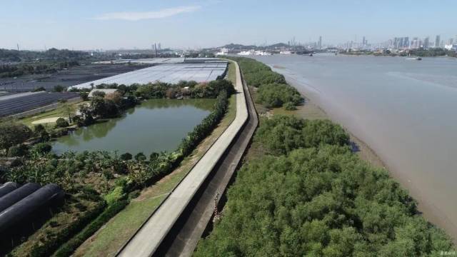 南方农村报 郑建斯 拍摄