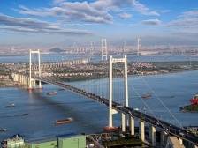 东涌聚“芯”：岭南小镇竞逐大湾区