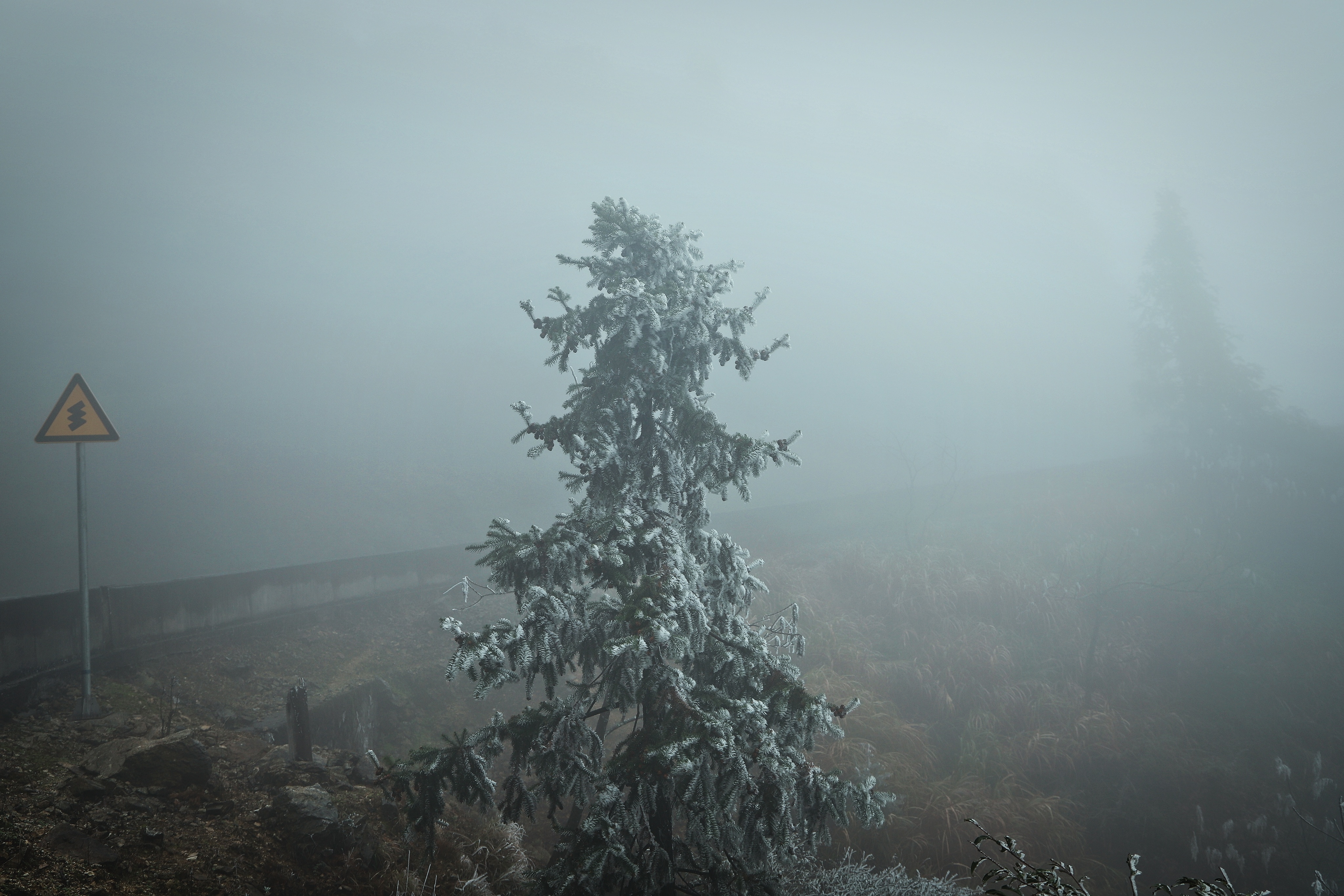 多图+视频丨又见雾淞冰挂！2022年第一波强冷空气抵达韶关乐昌