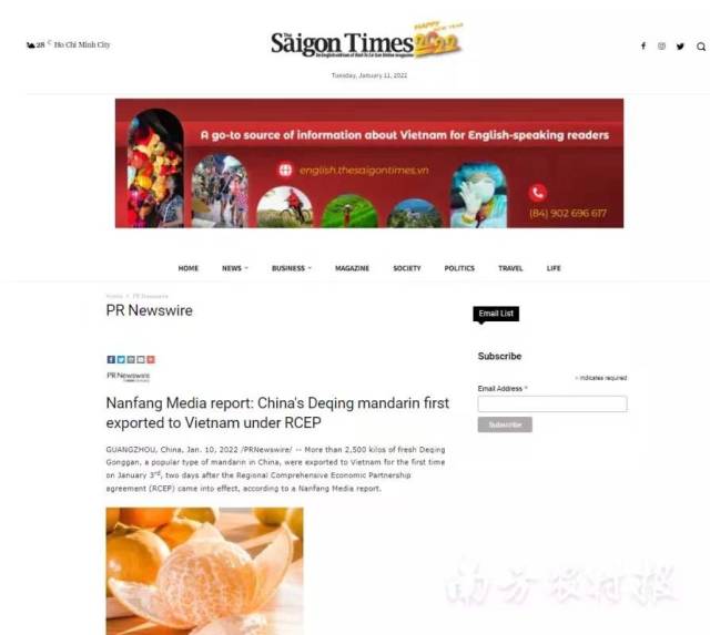 德庆贡柑受到国外主流媒体点赞。  