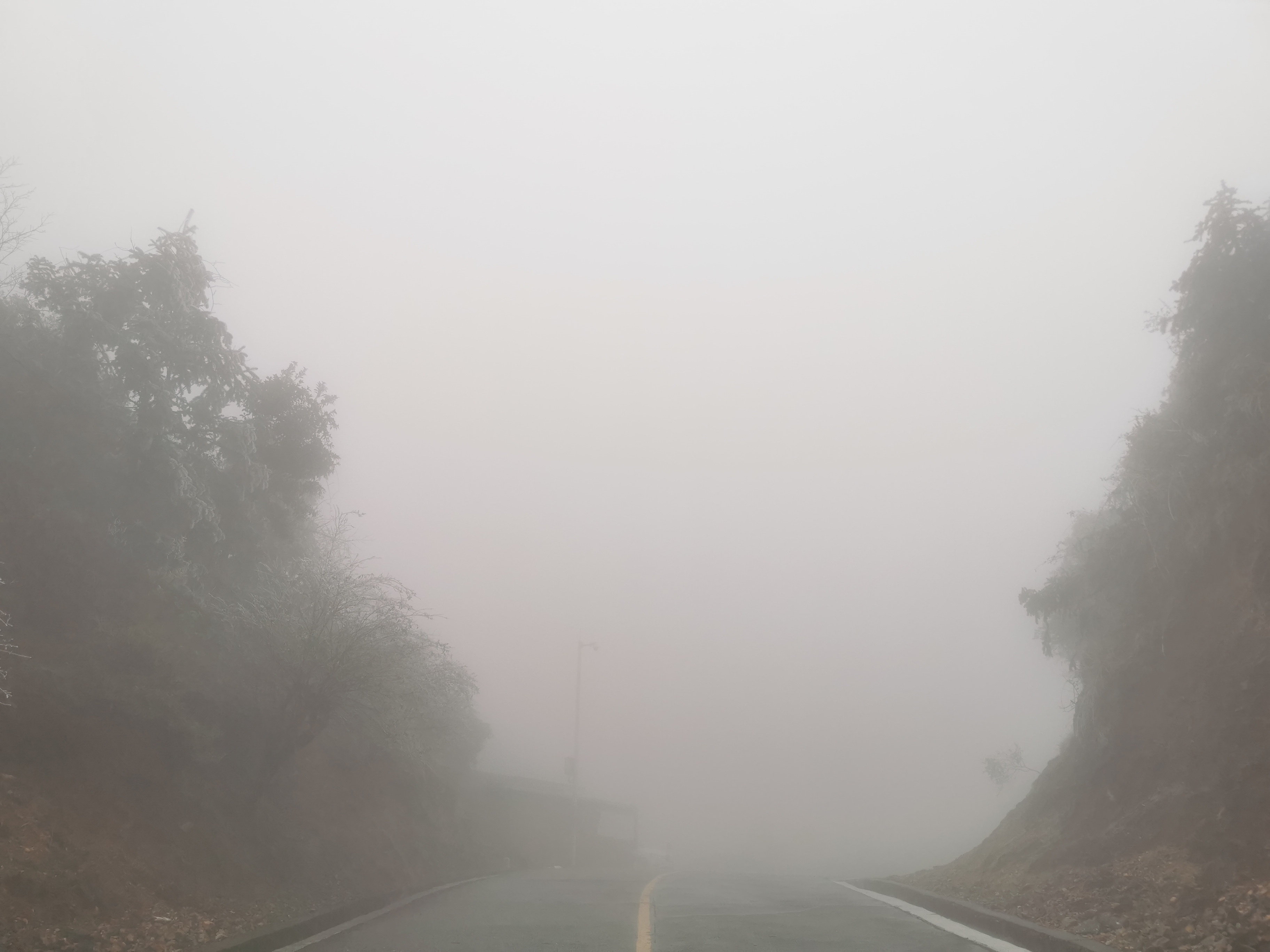 多图+视频丨又见雾淞冰挂！2022年第一波强冷空气抵达韶关乐昌