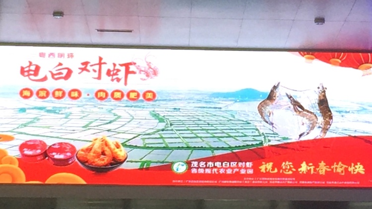 电白对虾“跳”上茂名高铁站！品生猛鲜虾，过喜庆虎年