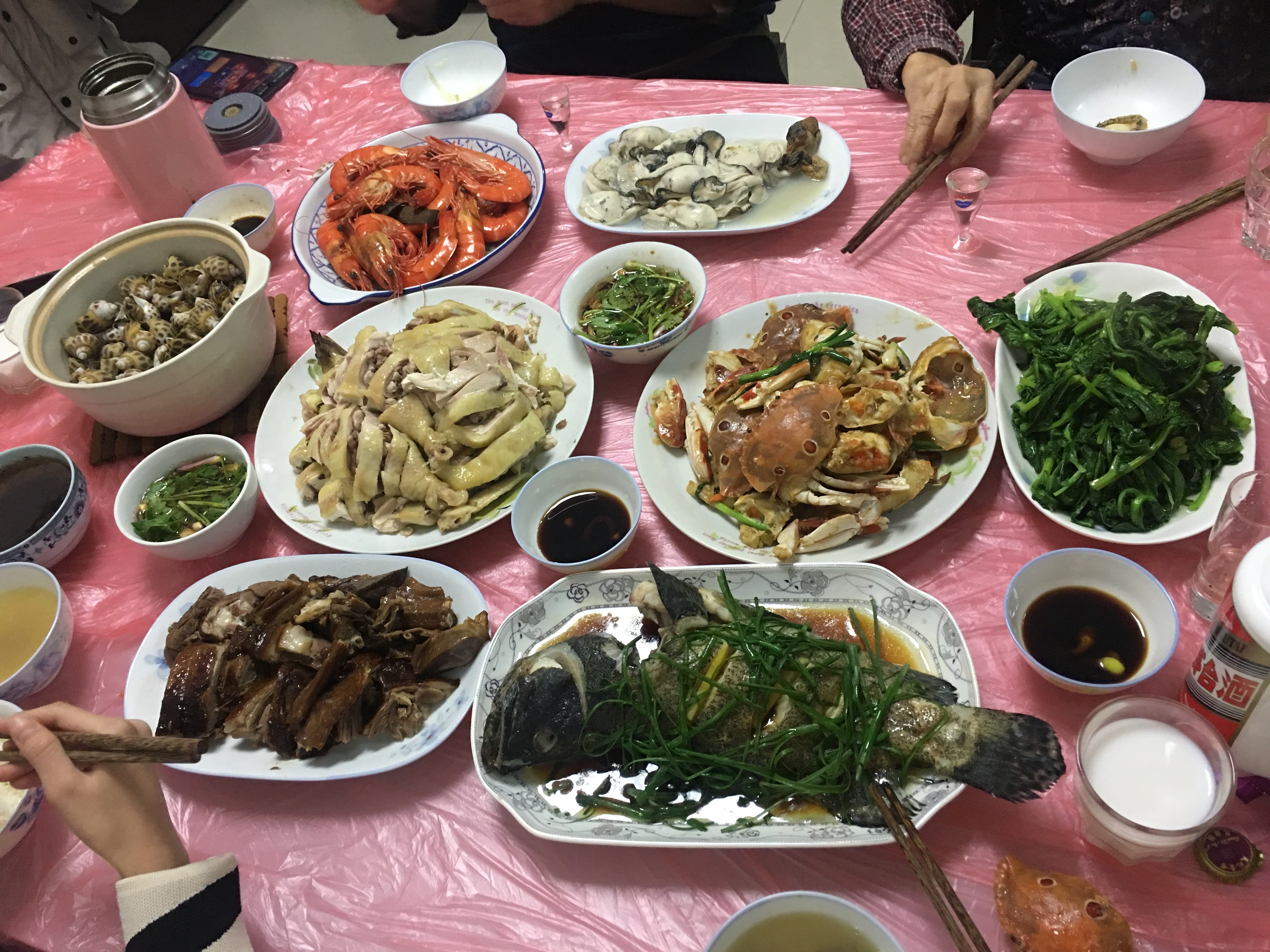 南友“nicole”提供 南友“nicole”提供