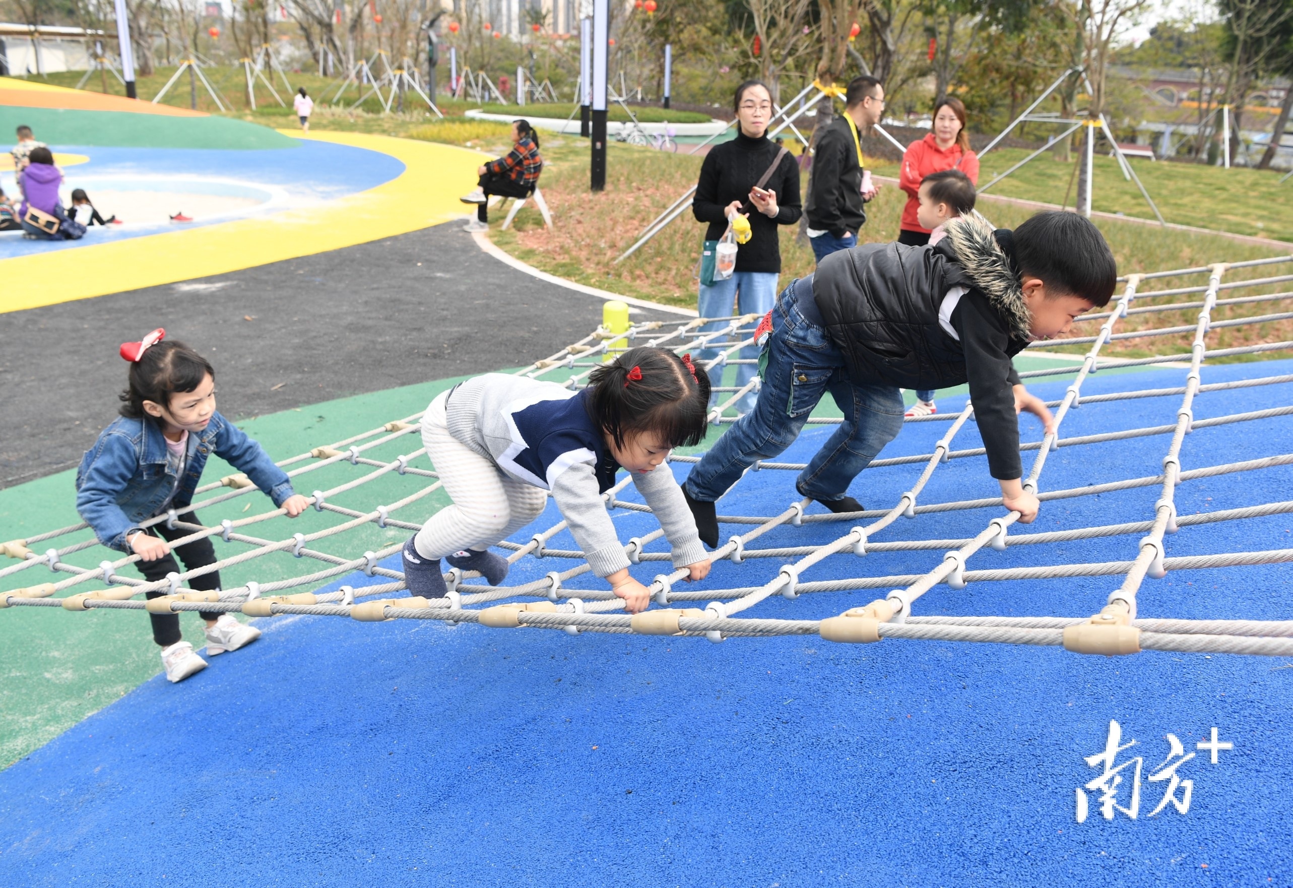 争先恐后爬网梯。杨兴乐 拍摄 争先恐后爬网梯。杨兴乐 拍摄