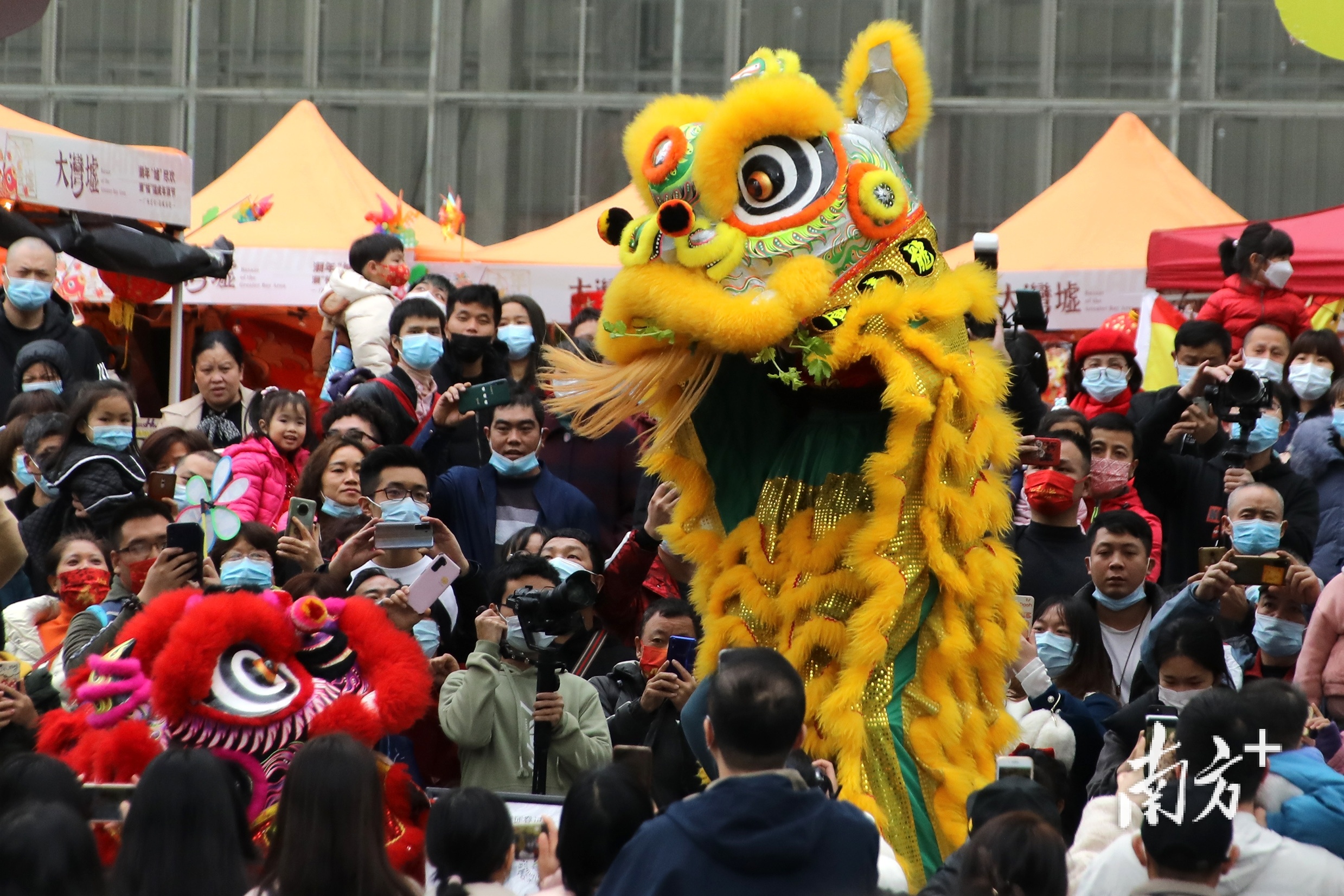 醒獅送福新年趁墟虎年首日廣州塔下享非遺大餐