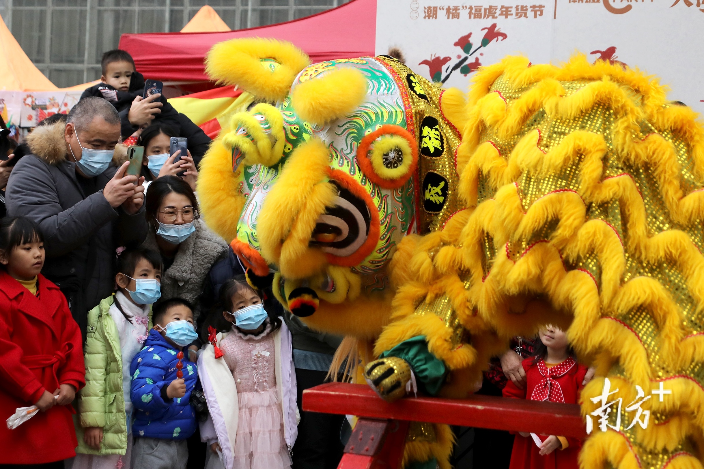 醒狮送福新年趁墟虎年首日广州塔下享非遗大餐