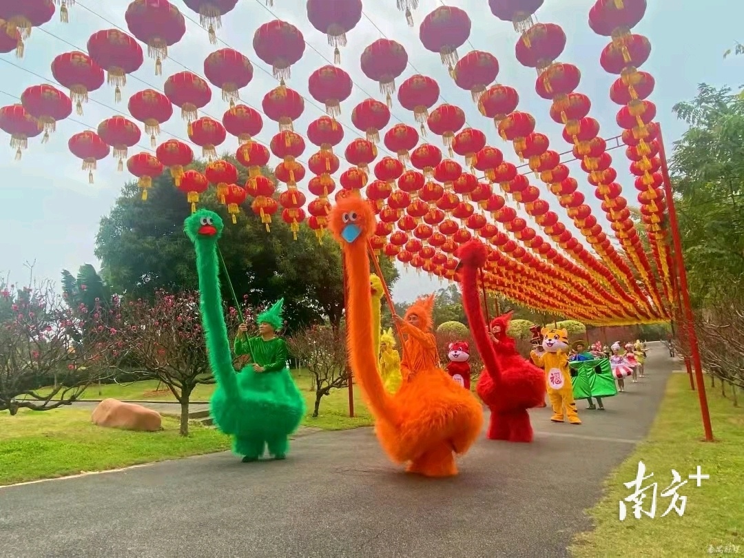    南方+ 吴伟洪 拍摄