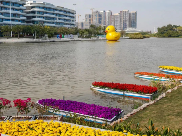 春节去哪｜南沙新春旅游“大盆菜”（至尊版）来了，请收好！
