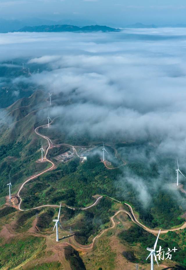2月6日,阳江阳春长沙风车山云雾缭绕,一座座风电塔沿着蜿蜒的小路排开