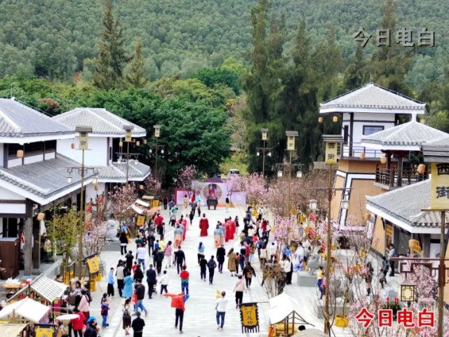 电白新晋网红打卡点！春节正式开放，浪漫十足