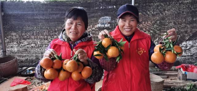 志愿者大姐们。