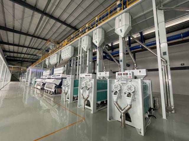 仅稻米筛选就有4道工序