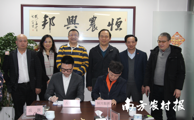 0  南方农村报 苏若晶 拍摄