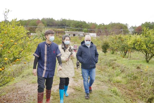 2月7日，陈慧（中）做田头直播。