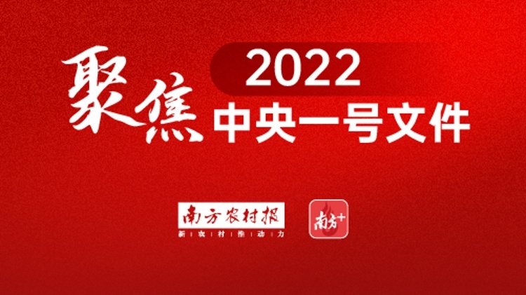 2022年一号文件来了！乡村振兴重点工作抢先了解