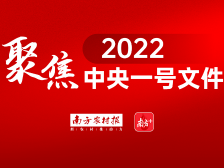省级党政领导班子纳入乡村振兴考核 | 聚焦2022中央一号文件⑨