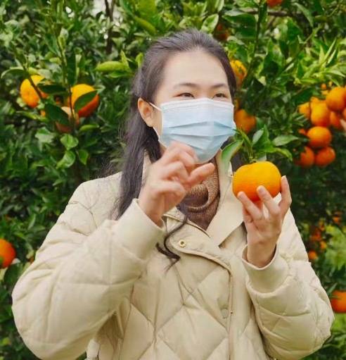 陈慧向直播间粉丝介绍果品。