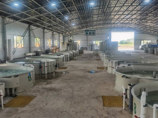 淡水鱼类南沙（南繁）育种中心