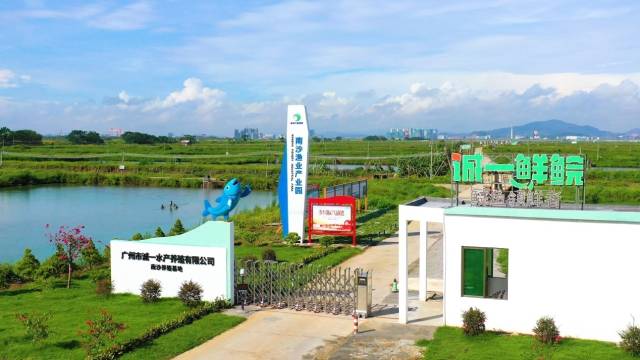 淡水鱼类南沙（南繁）育种中心  