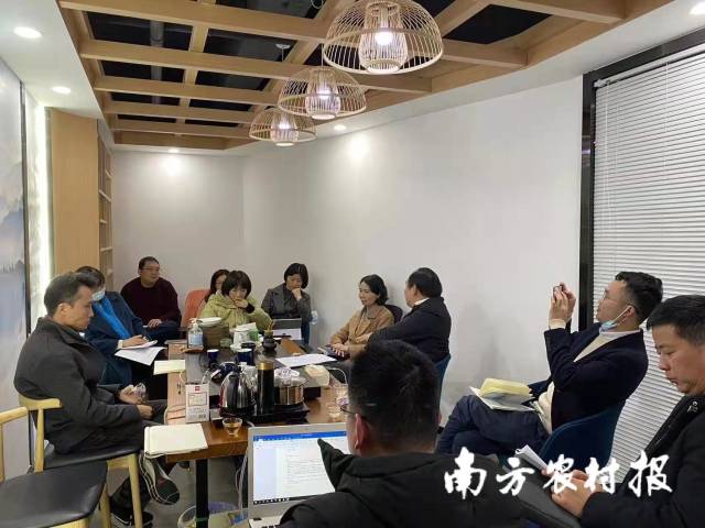 2月10日，省农业农村厅有关负责人与工作组谋划2022徐闻菠萝营销十大行动。