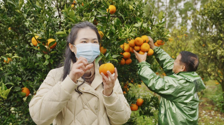 寅虎助农记 | 三人谈：公益助农很平常，让它“不平常”才有意义⑥