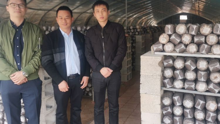 两个月，1700万！省农担公司为驻镇帮镇扶村工作注入农担动力