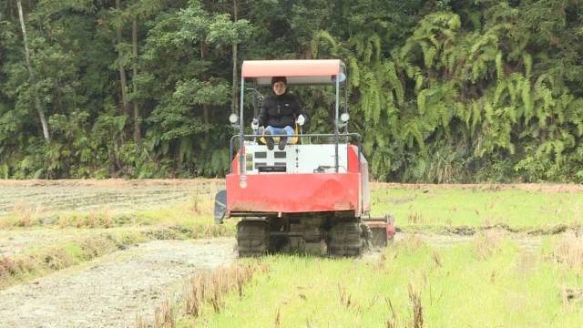 龙川：人勤春来早，春耕备耕忙