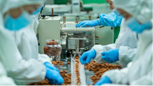 园内工人正在有条不紊地进行包装。