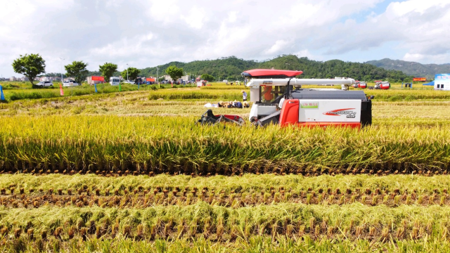 农业机械化服务，极大提升耕作效率。