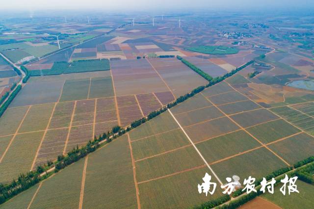 通讯员 南方农村报 供图