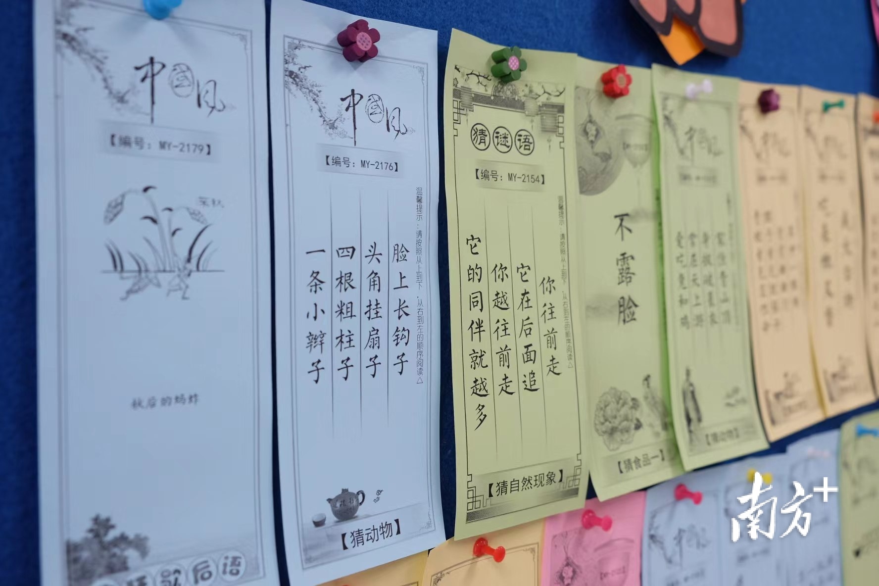 南方+ 陈婷婷 张冰纯 陈憧炜 拍摄