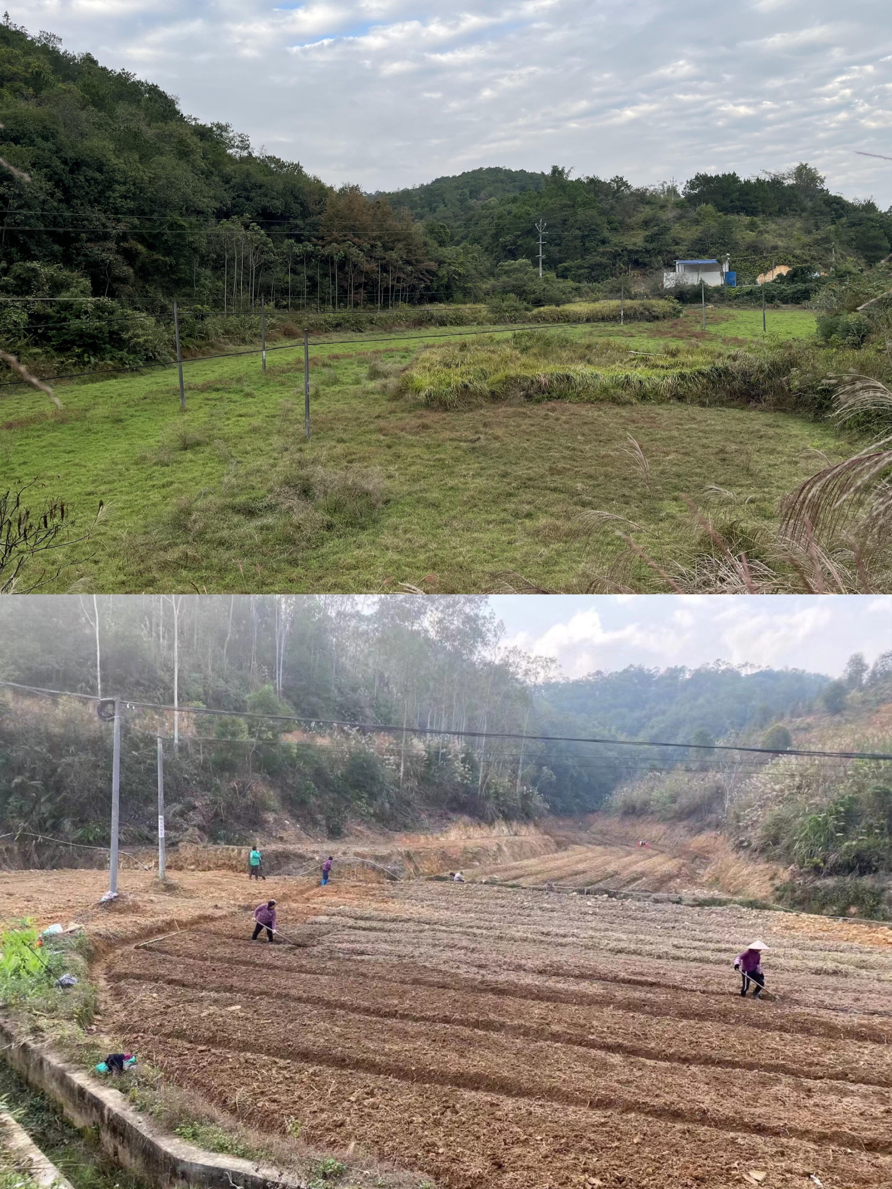 大玉口镇寨河村在该镇党委、镇政府和驻镇帮镇扶村工作队的推动下，新老支书齐心协力，引回乡贤投资种植蔬果，让撂荒耕地重焕生机。图为前后对比图。