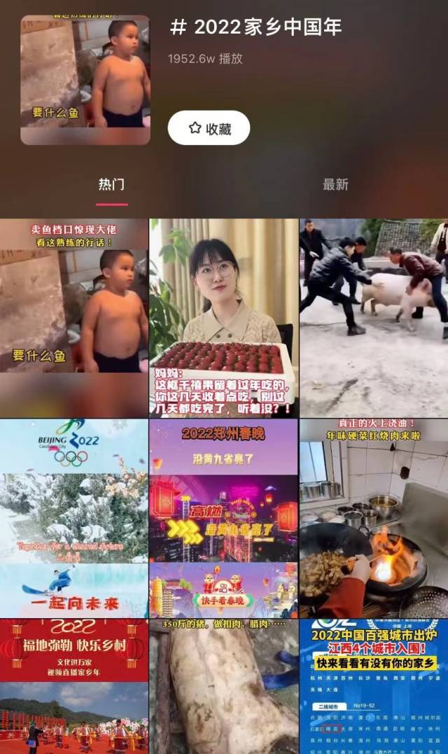 南方农村报 樊静东 拍摄