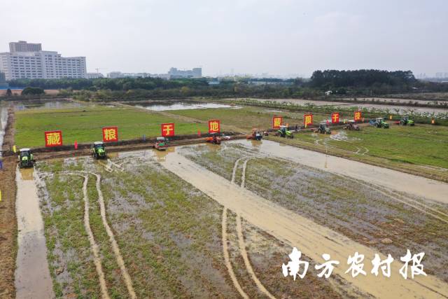 藏粮于地，藏粮于技  南方农村报 程麒 拍摄