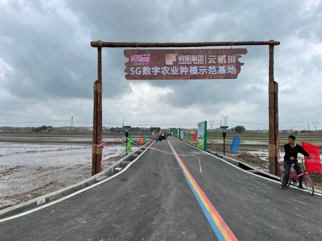 茂名市茂南区高标农田宜机化建设。  南方农村报 章四平 拍摄