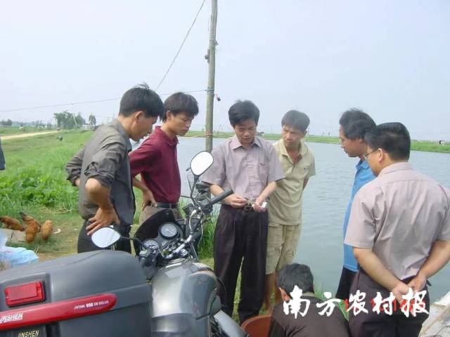 0  南方農(nóng)村報(bào) 黃旭君 拍攝