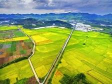 皂幕时评｜田野上涌动新希望