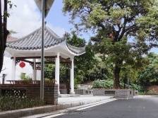 东莞：共筑千万人口的文明家园