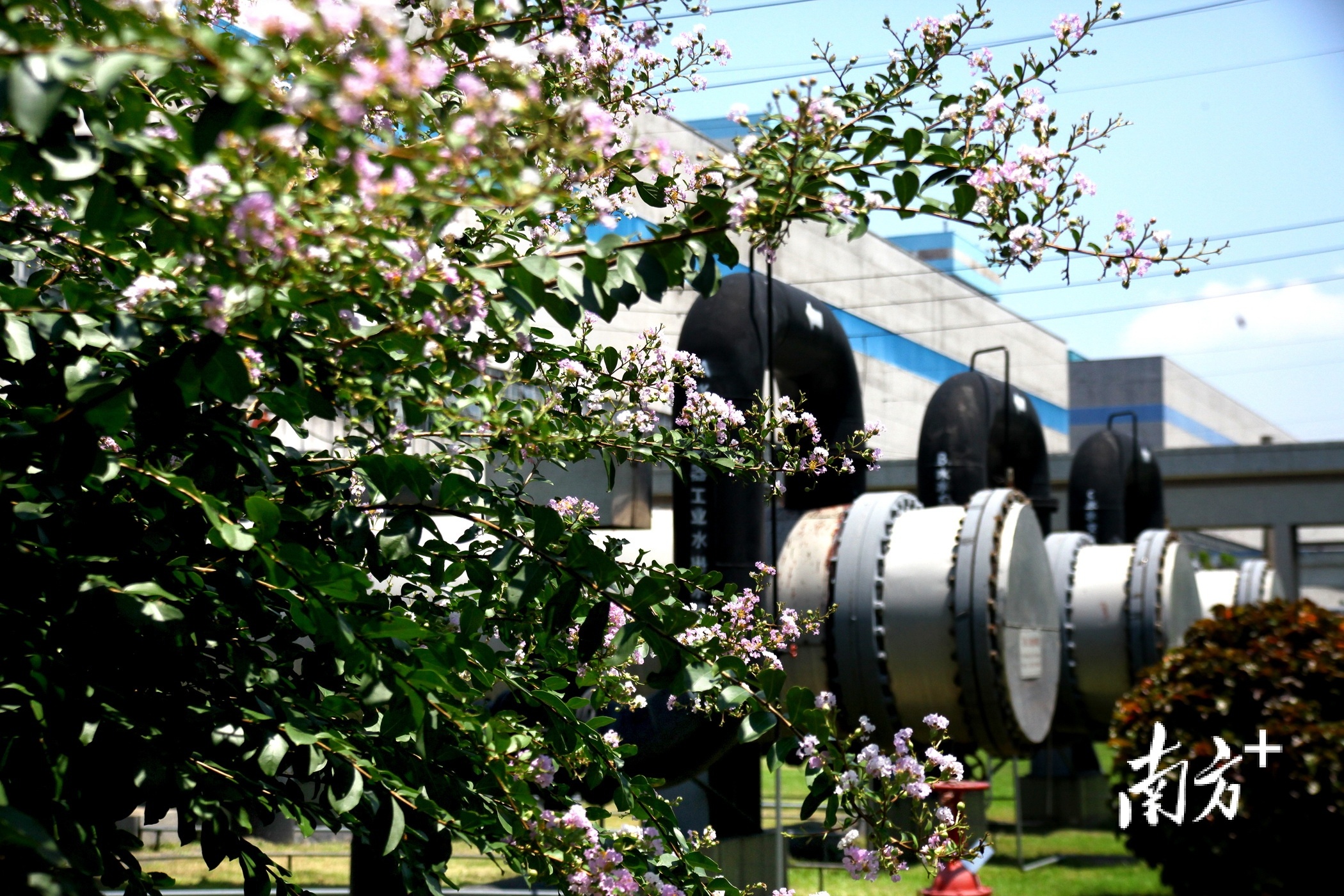 1  南方+ 郑国豪 拍摄