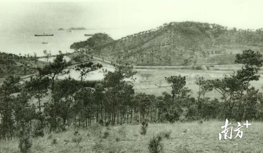 沙角电厂群建设前地块原貌