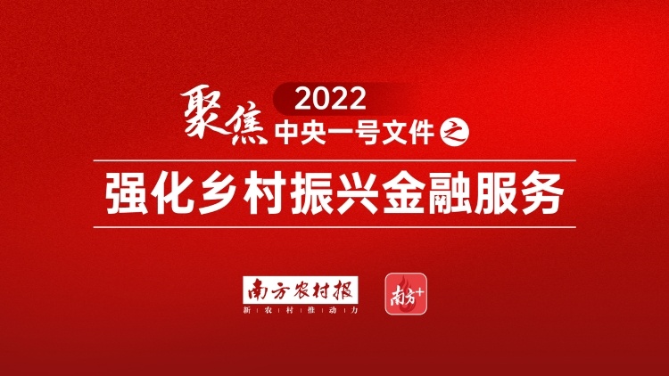 中央一号文件首次单独列明，强化乡村振兴金融服务