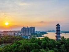 南方观察｜告诉你一个厚积薄发的高明