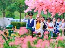 文旅跃升：高明“一业兴”带动“百业旺”