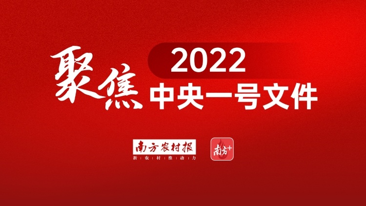 由“农品上网”到“数商兴农”，从中央一号文件看农村电商10年发展